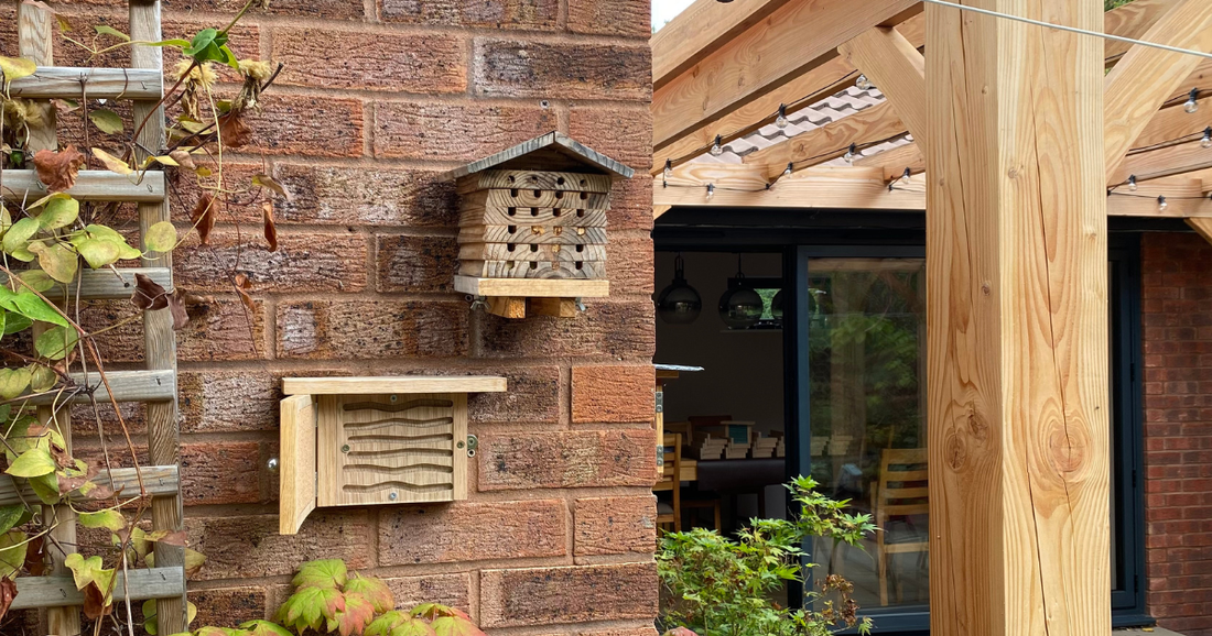 solitary bee  observation box and bee hotel mounted on the wall in garden