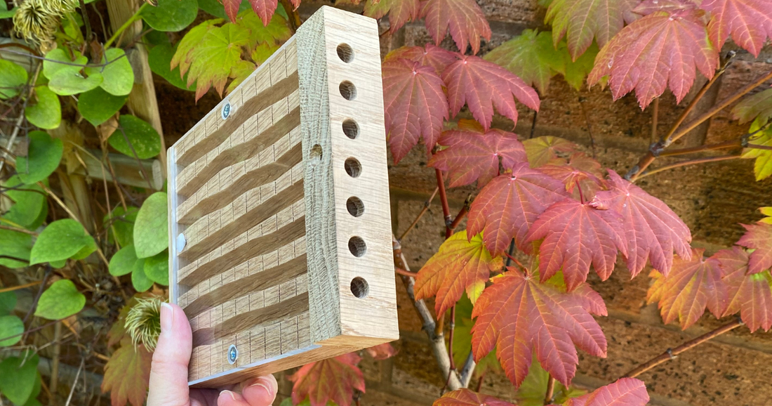 Hand holding module for solitary bee nesting with holes into wavy chambers