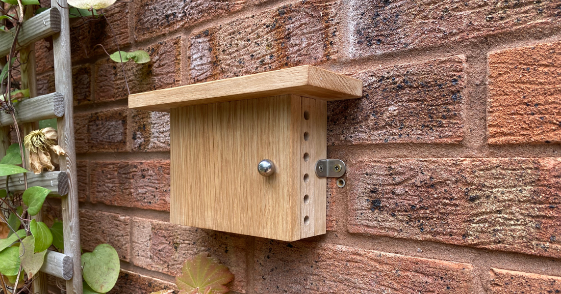 Solid oak wood bee box on brick wall with a shiny knob and entrance holes, gree clematis climber on the trellis -BeeLife 