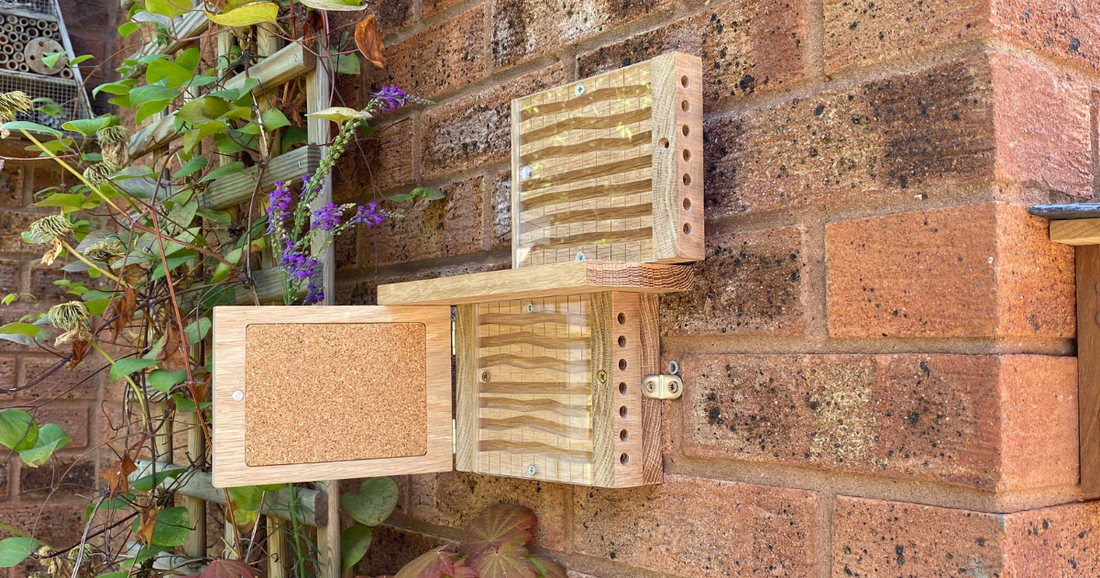 Bee nesting box and module for solitary bees on wall in garden
