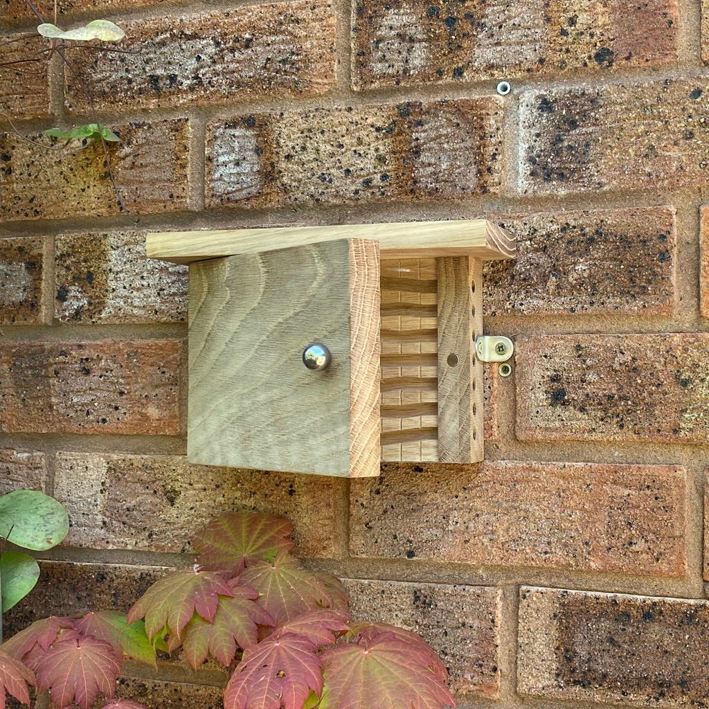 A small wooden bee house with a wavy entrance and a small metal door knob and hinge mounted on a brick wall outdoors, with some green and pink leaves at the bottom.