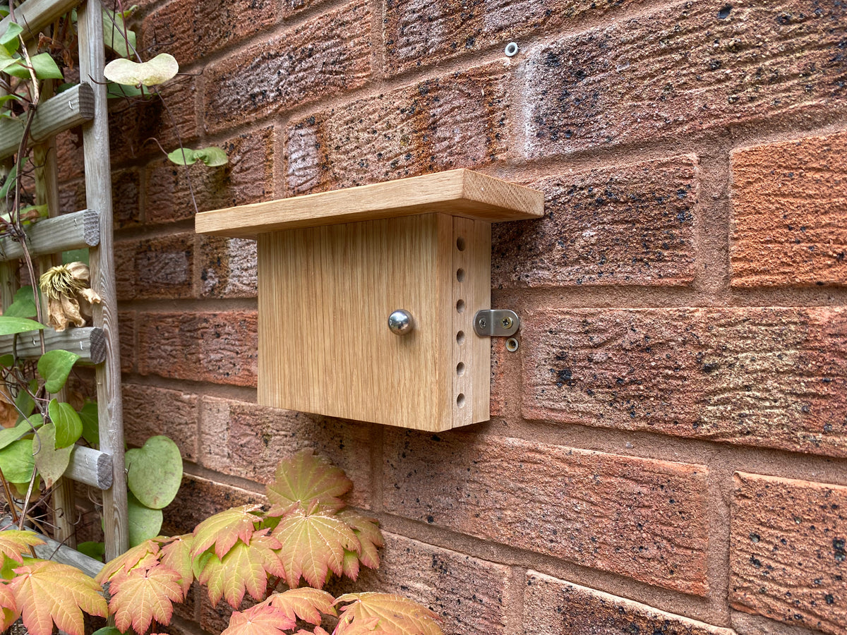 A natural oak wooden solitary bee box mounted on a red brick wall, with climbing plants and a wooden trellis visible on the left - BeeLife