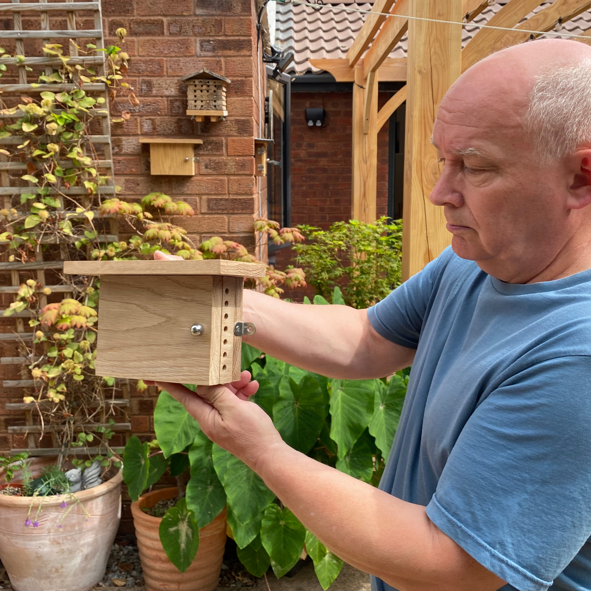 A man in a blue t-shirt holds a small wooden bee house in a backyard garden setting with brick walls, potted plants, and a wooden trellis - BeeLife