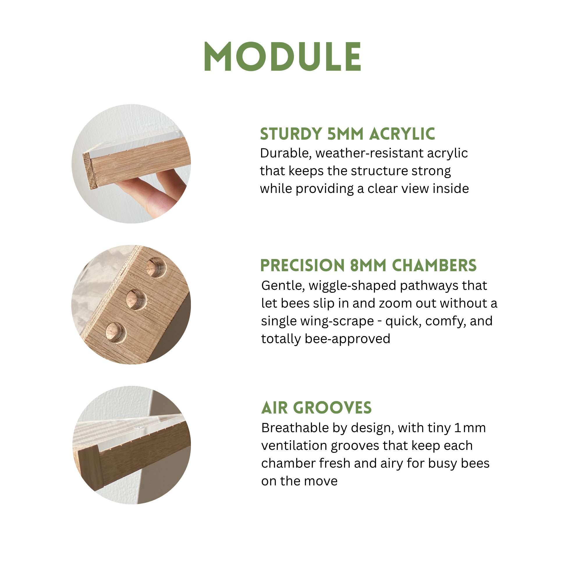 An informational graphic titled 'MODULE' with three circular close-up photos showing details of a wooden bee hive module, accompanied by descriptive text about sturdy 5mm acrylic, precision wavy chambers, and air grooves. - BeeLife