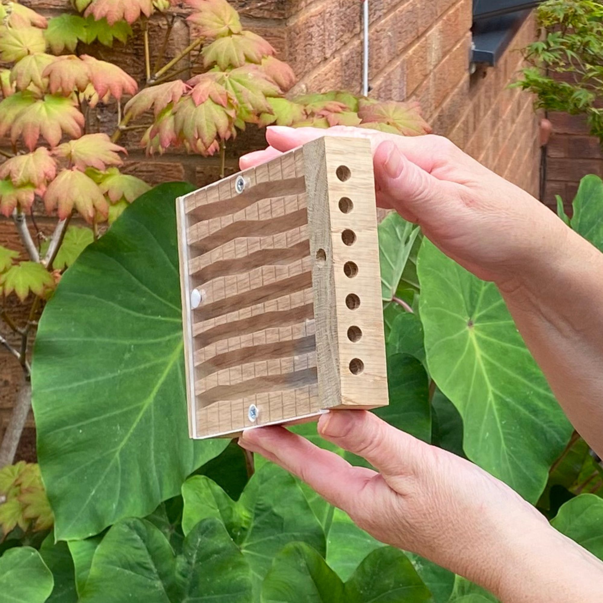 A person's hands holding a small wooden bee modular outdoors, with green leaves and a brick wall in the background.