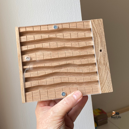 Wooden module with wavy chambers held by a hand against a neutral background - BeeLife