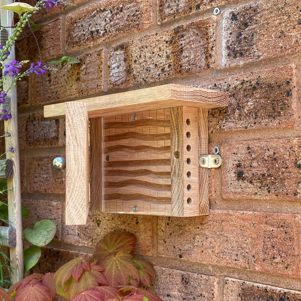 Oak bee nesting box attached to a brick wall with plants around - BeeLife